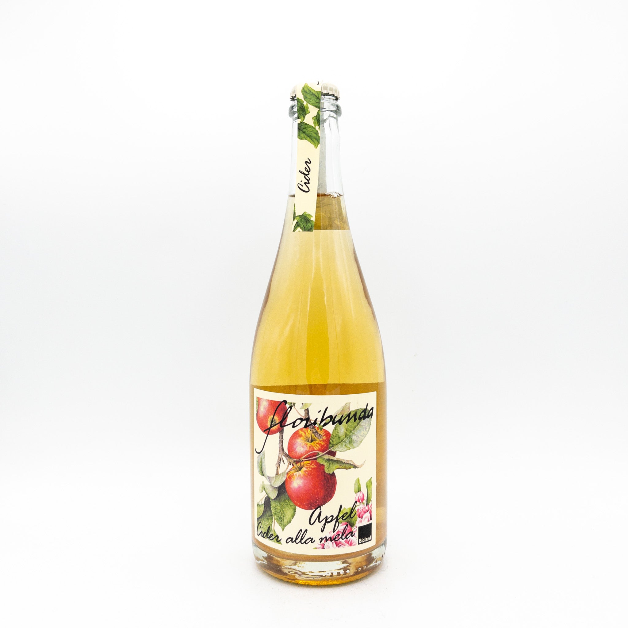 Floribunda 'Sparkling Apple Cider' NV