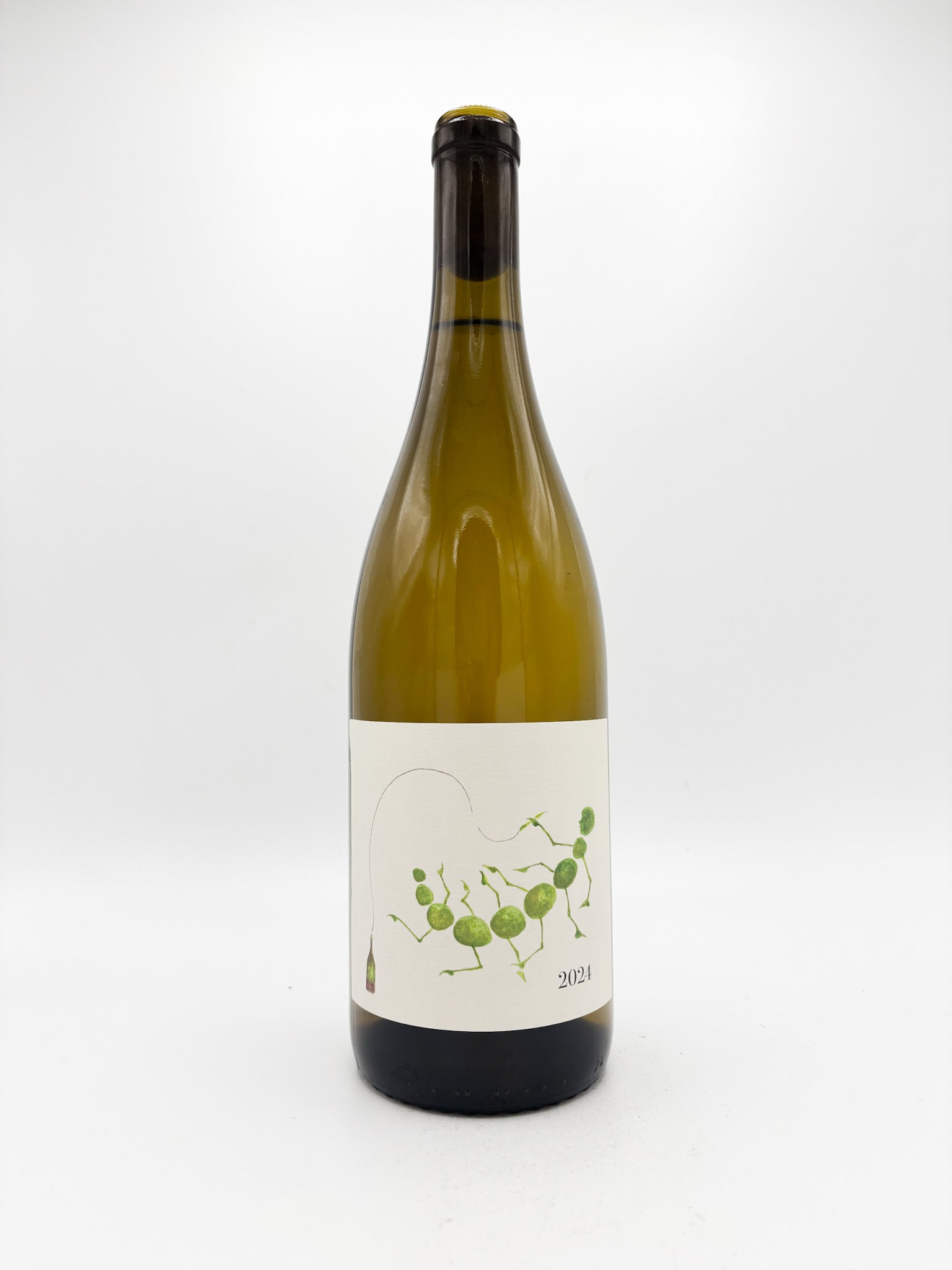 Dacha 'Very Thirsty Caterpillar' 2024